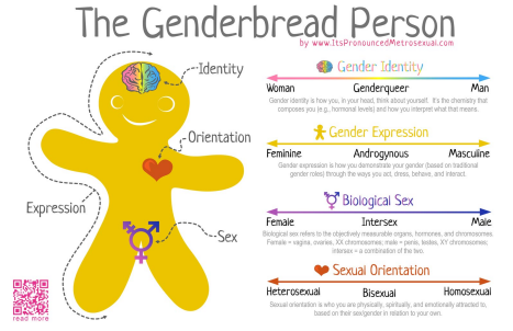 genderbread genderbread